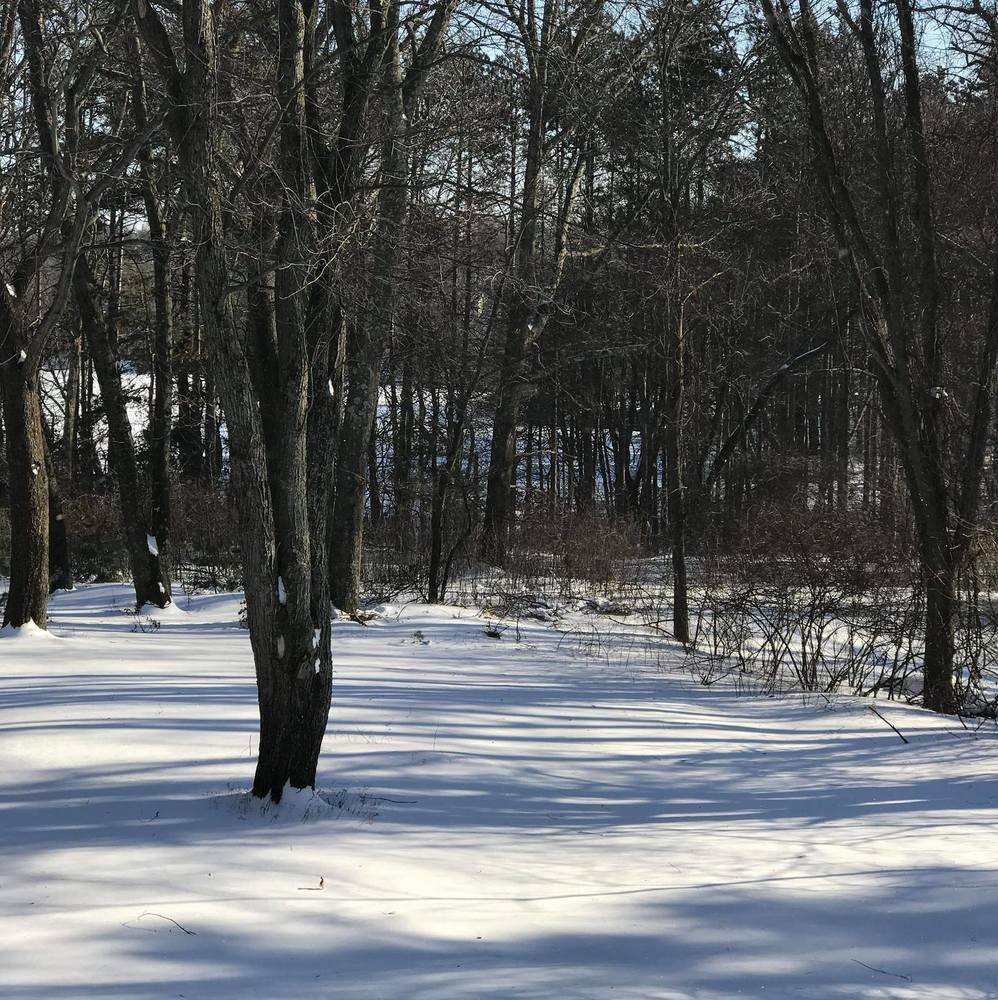 Meet your Posher, Monch